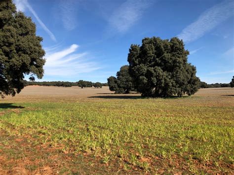 albacete land for sale|Properties for sale in Albacete province, Castile La .